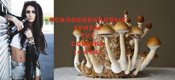 не бодяженный Абаза